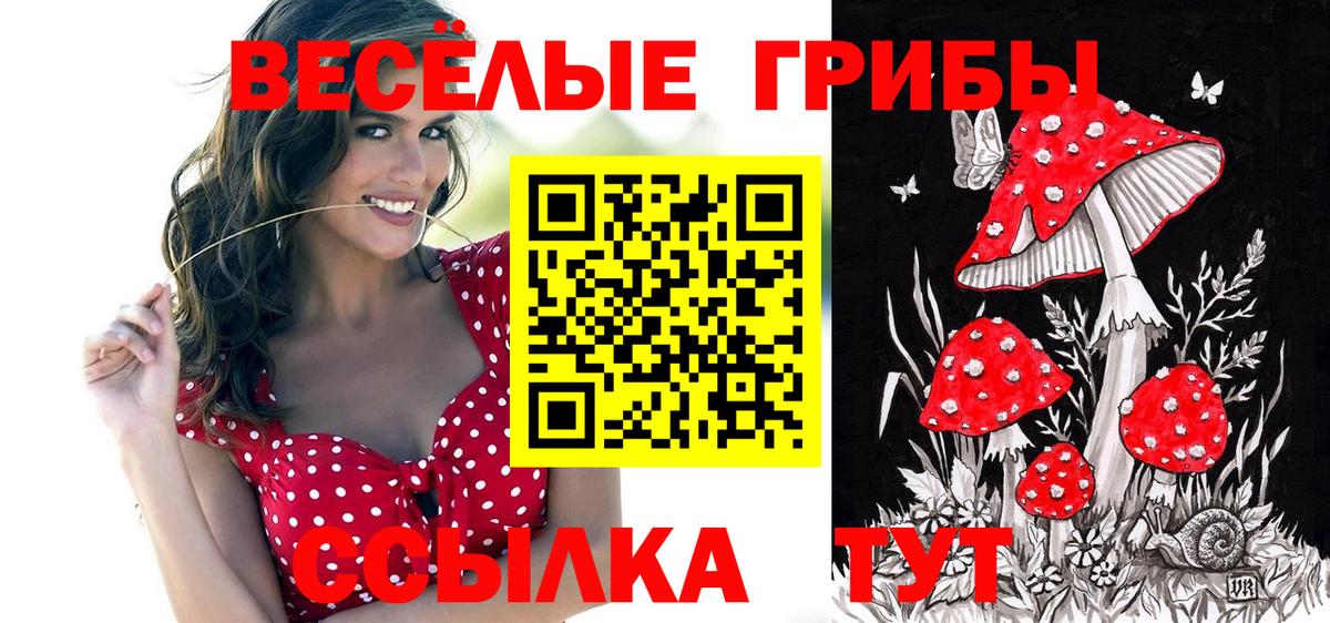 Лсд 25  КОКАИН  Вход с VPN  Экстази  Новый Уренгой  Мефедрон кристаллы  Гашиш 