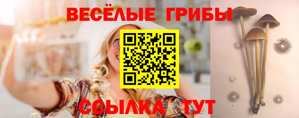 Галлюциногенные грибы Magic Shrooms Новый Уренгой